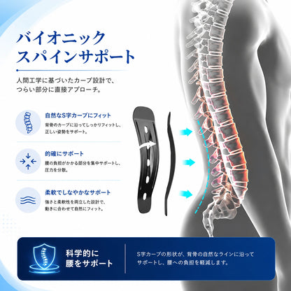 SpineForce™ 腰を支え、毎日をもっと快適に。