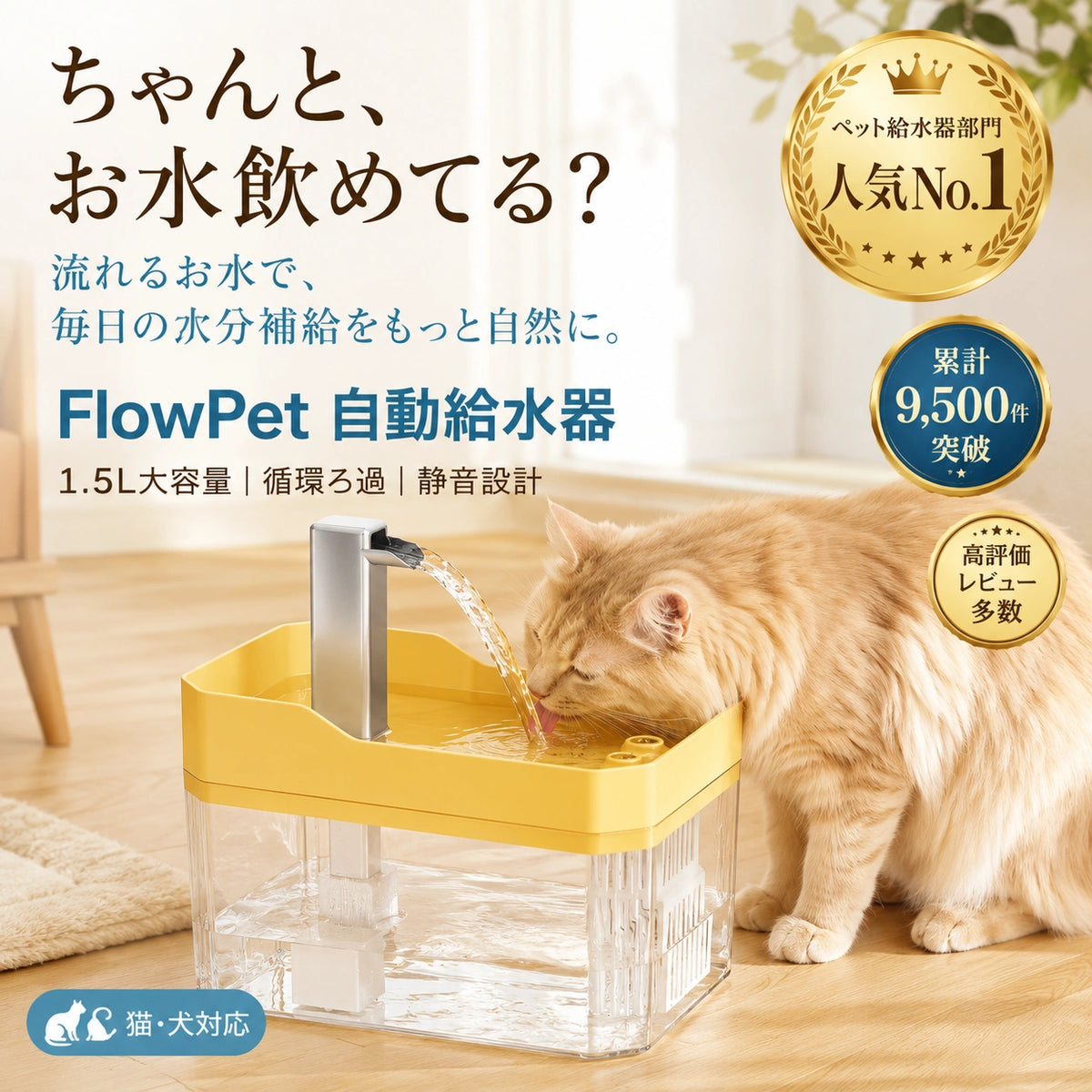 FlowPet 自動給水器 – 夏の水分補給をしっかりサポート