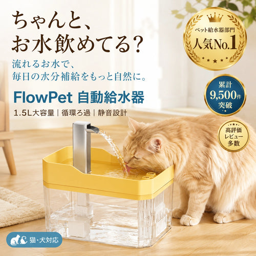 FlowPet 自動給水器 – 夏の水分補給をしっかりサポート