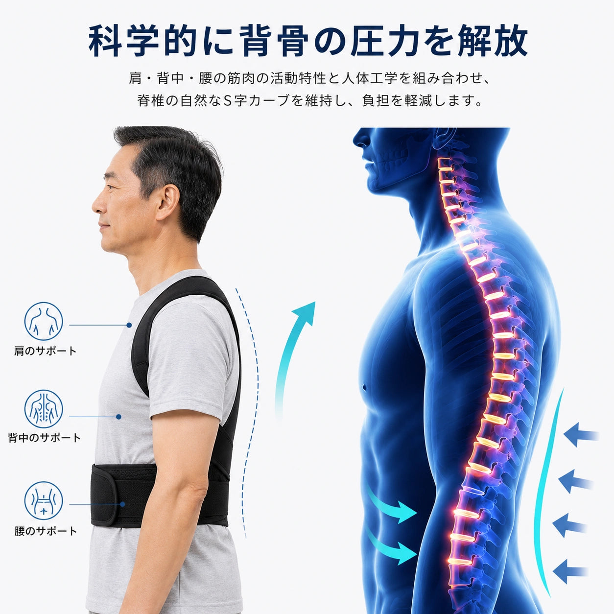 AlignCore™ | 毎日の姿勢を、美しく快適に