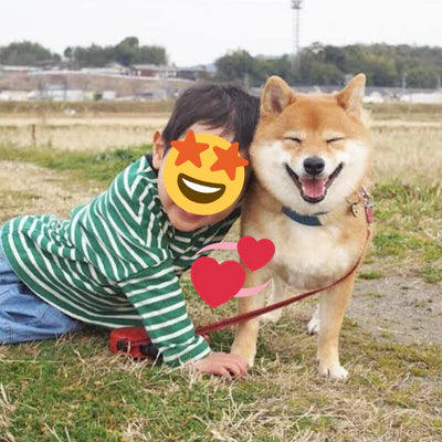 files/jLfNvKu.webp